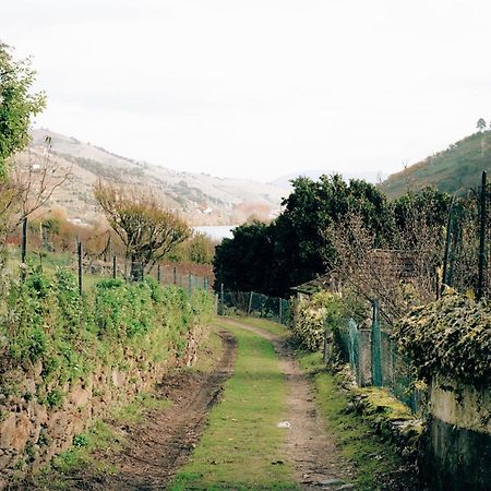 Quinta Das Casas - Douro Winery & Villas วีลาเรอัล ภายนอก รูปภาพ