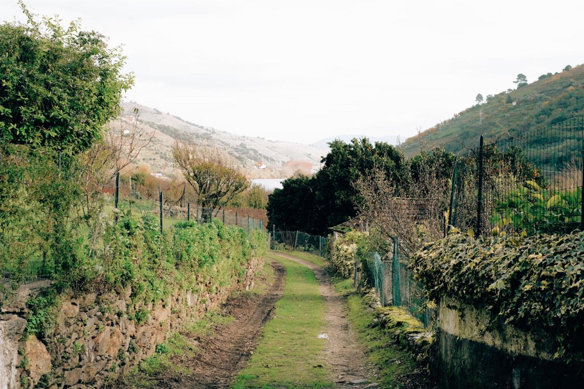 Quinta Das Casas - Douro Winery & Villas วีลาเรอัล ภายนอก รูปภาพ